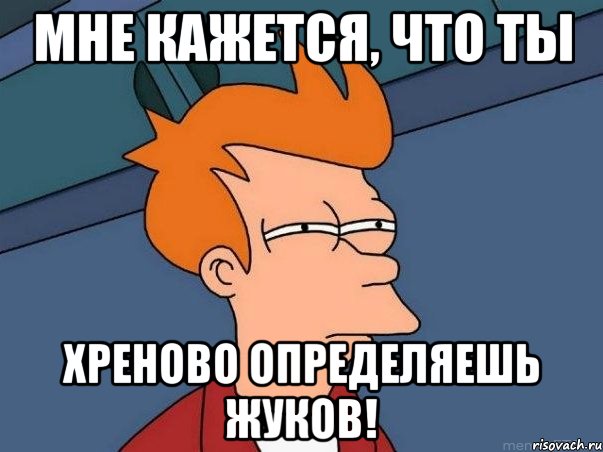 мне кажется, что ты хреново определяешь жуков!, Мем  Фрай (мне кажется или)