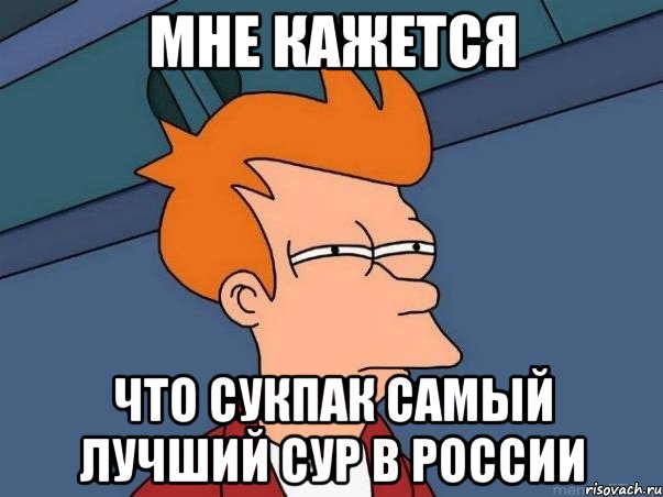 мне кажется что сукпак самый лучший сур в россии, Мем  Фрай (мне кажется или)