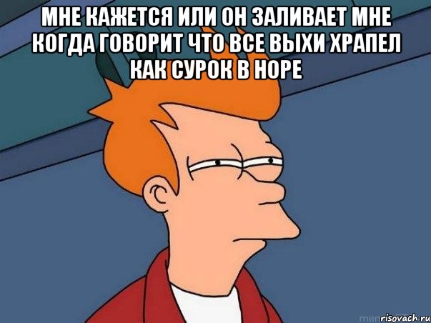 мне кажется или он заливает мне когда говорит что все выхи храпел как сурок в норе , Мем  Фрай (мне кажется или)