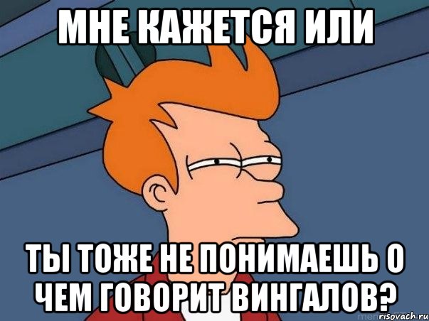 мне кажется или ты тоже не понимаешь о чем говорит вингалов?, Мем  Фрай (мне кажется или)