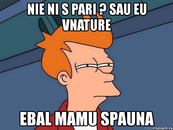 nie ni s pari ? sau eu vnature ebal mamu spauna, Мем  Фрай (мне кажется или)