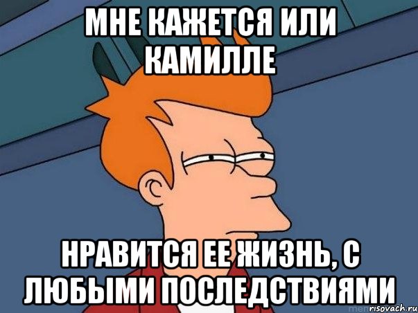 мне кажется или камилле нравится ее жизнь, с любыми последствиями, Мем  Фрай (мне кажется или)