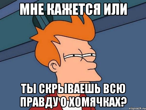 мне кажется или ты скрываешь всю правду о хомячках?, Мем  Фрай (мне кажется или)