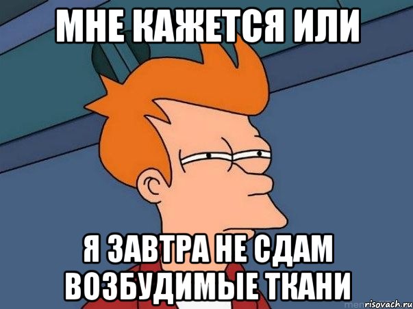 мне кажется или я завтра не сдам возбудимые ткани, Мем  Фрай (мне кажется или)