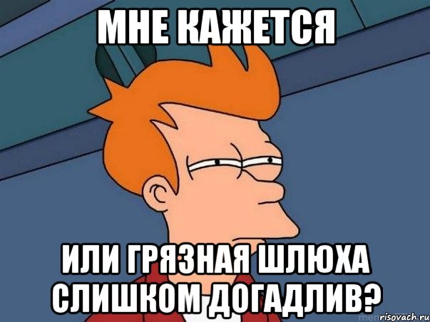 мне кажется или грязная шлюха слишком догадлив?, Мем  Фрай (мне кажется или)