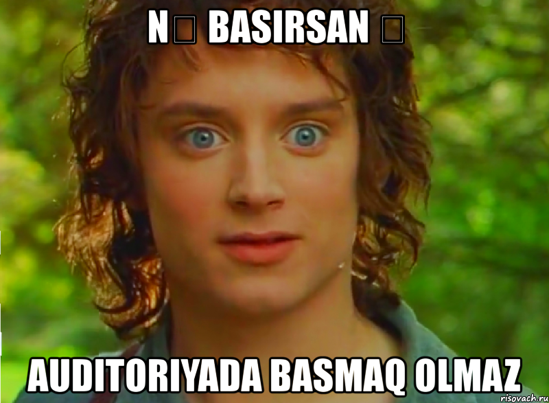 nә basırsan ә auditoriyada basmaq olmaz, Мем Фродор
