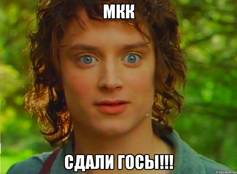мкк сдали госы!!!, Мем Фродор