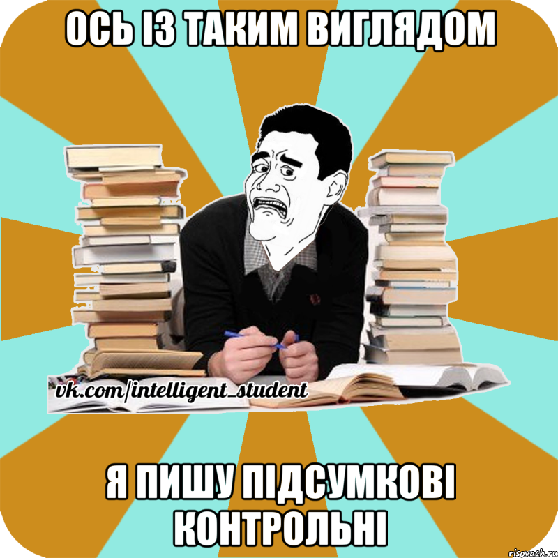 ось із таким виглядом я пишу підсумкові контрольні