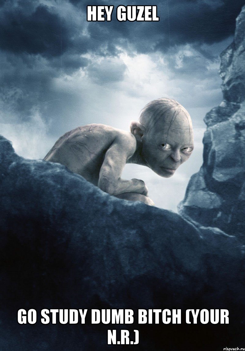 hey guzel go study dumb bitch (your n.r.), Мем gollum