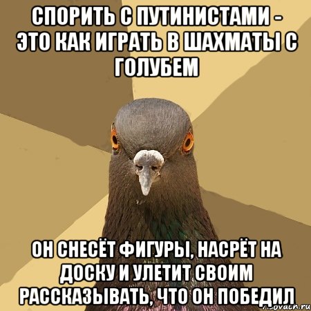 спорить с путинистами - это как играть в шахматы с голубем он снесёт фигуры, насрёт на доску и улетит своим рассказывать, что он победил, Мем голубь