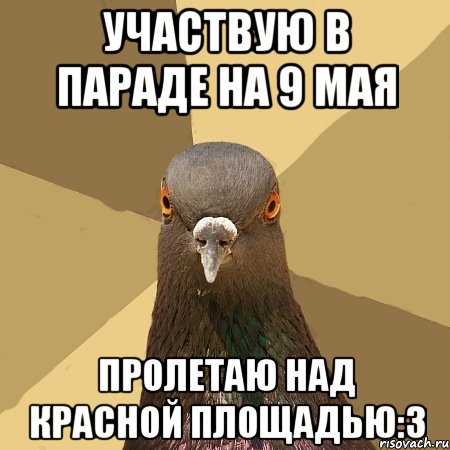 участвую в параде на 9 мая пролетаю над красной площадью:3, Мем голубь