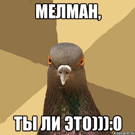 мелман, ты ли это))):0, Мем голубь