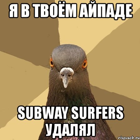 я в твоём айпаде subway surfers удалял, Мем голубь