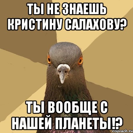 ты не знаешь кристину салахову? ты вообще с нашей планеты!?, Мем голубь