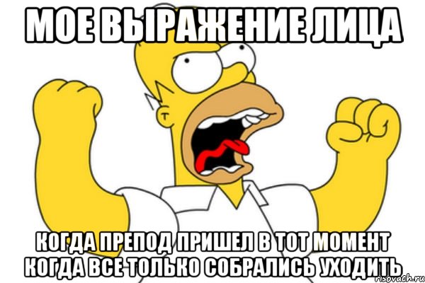 мое выражение лица когда препод пришел в тот момент когда все только собрались уходить, Мем Разъяренный Гомер