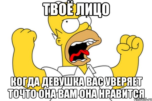 твоё лицо когда девушка вас уверяет точто она вам она нравится, Мем Разъяренный Гомер