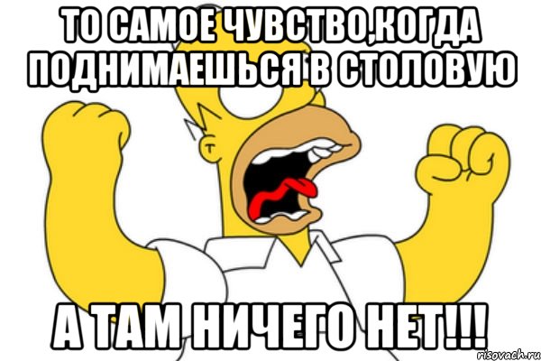 то самое чувство,когда поднимаешься в столовую а там ничего нет!!!, Мем Разъяренный Гомер