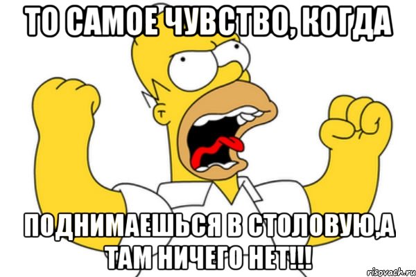 то самое чувство, когда поднимаешься в столовую,а там ничего нет!!!, Мем Разъяренный Гомер