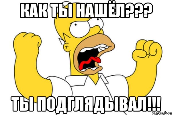 как ты нашёл??? ты подглядывал!!!, Мем Разъяренный Гомер