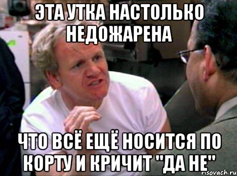 эта утка настолько недожарена что всё ещё носится по корту и кричит "да не", Мем Гордон Рамзи2