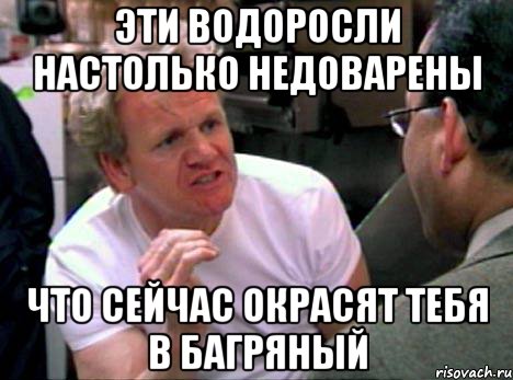 эти водоросли настолько недоварены что сейчас окрасят тебя в багряный, Мем Гордон Рамзи2