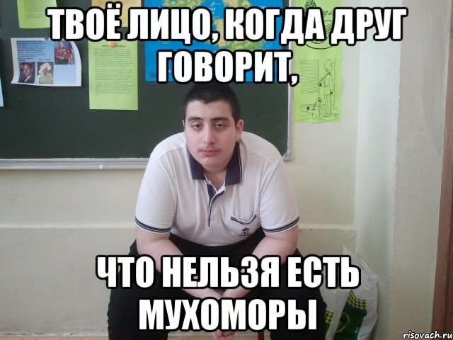 твоё лицо, когда друг говорит, что нельзя есть мухоморы, Мем griborii