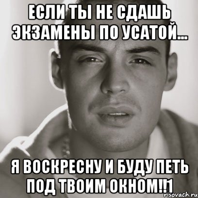 если ты не сдашь экзамены по усатой... я воскресну и буду петь под твоим окном!!1, Мем Гуф