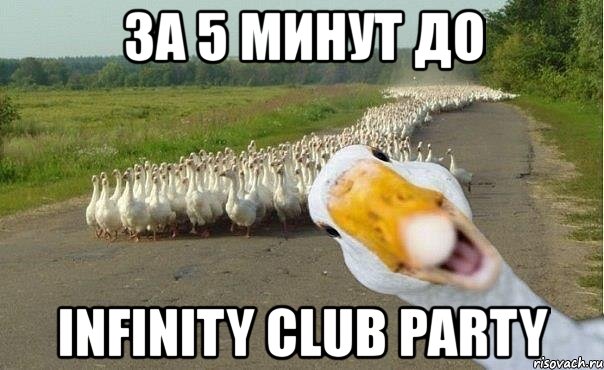 за 5 минут до infinity club party, Мем гуси