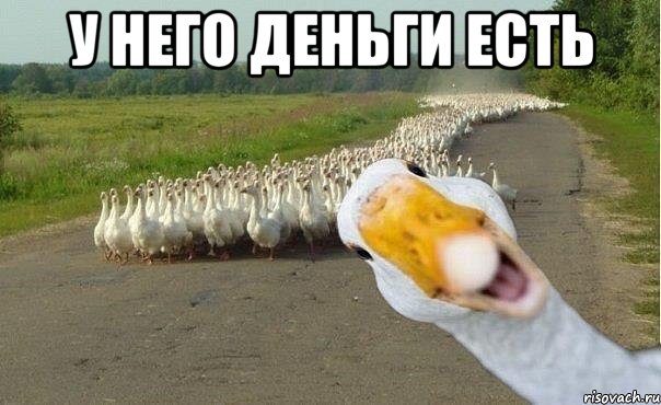 у него деньги есть , Мем гуси