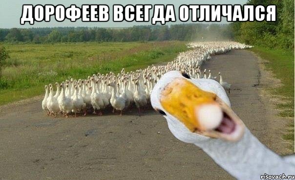 дорофеев всегда отличался 