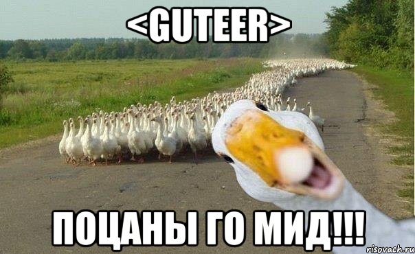 <guteer> поцаны го мид!!!, Мем гуси