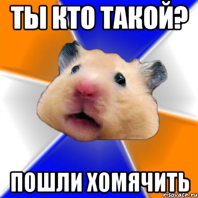 ты кто такой? пошли хомячить