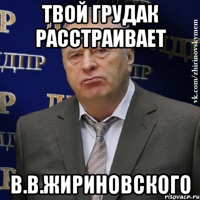 твой грудак расстраивает в.в.жириновского, Мем Хватит это терпеть (Жириновский)