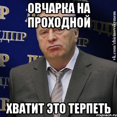 овчарка на проходной хватит это терпеть, Мем Хватит это терпеть (Жириновский)