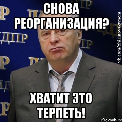 снова реорганизация? хватит это терпеть!, Мем Хватит это терпеть (Жириновский)