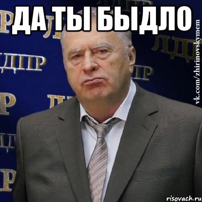 да ты быдло , Мем Хватит это терпеть (Жириновский)