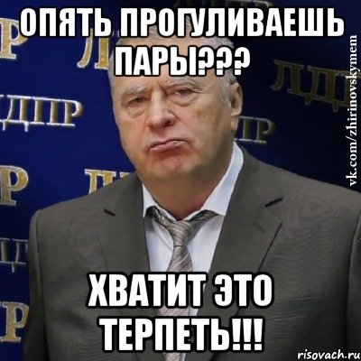 опять прогуливаешь пары??? хватит это терпеть!!!, Мем Хватит это терпеть (Жириновский)