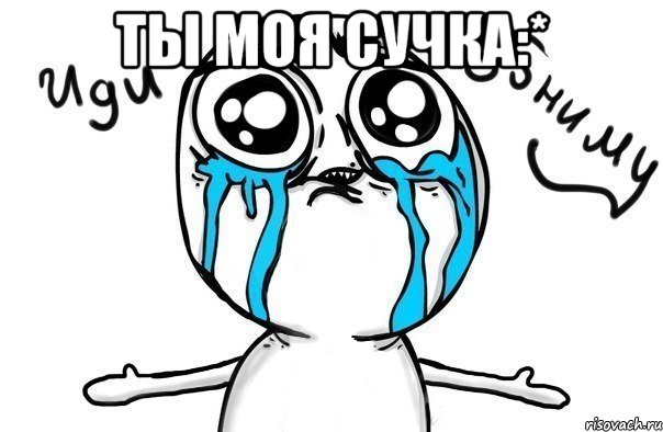 ты моя сучка:* , Мем Иди обниму