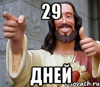 29 дней