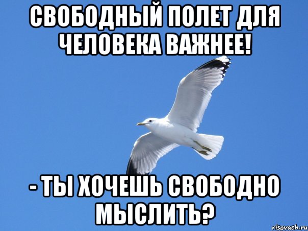свободный полет для человека важнее! - ты хочешь свободно мыслить?, Мем Изучай ТРИЗ