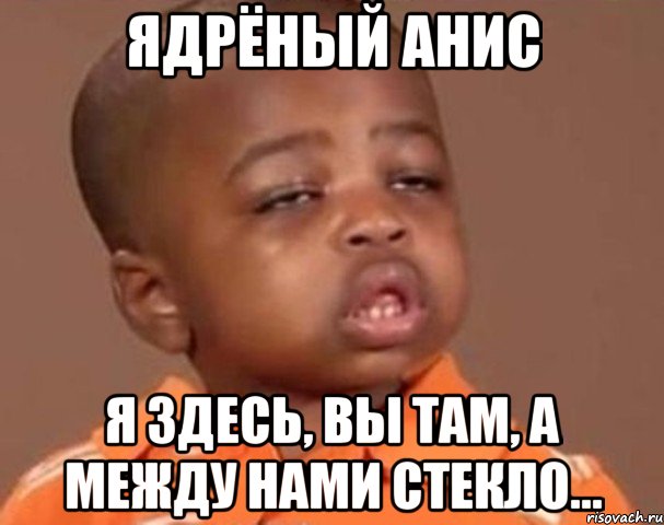 ядрёный анис я здесь, вы там, а между нами стекло..., Мем  Какой пацан (негритенок)