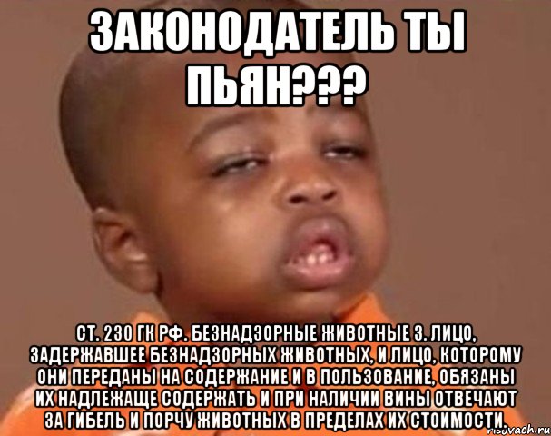 законодатель ты пьян??? ст. 230 гк рф. безнадзорные животные 3. лицо, задержавшее безнадзорных животных, и лицо, которому они переданы на содержание и в пользование, обязаны их надлежаще содержать и при наличии вины отвечают за гибель и порчу животных в пределах их стоимости., Мем  Какой пацан (негритенок)