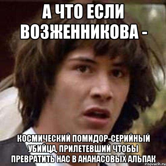 а что если возженникова - космический помидор-серийный убийца, прилетевший чтобы превратить нас в ананасовых альпак, Мем А что если (Киану Ривз)