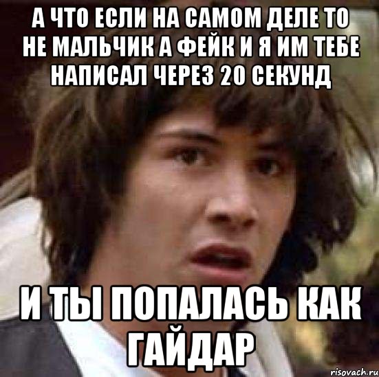 а что если на самом деле то не мальчик а фейк и я им тебе написал через 20 секунд и ты попалась как гайдар, Мем А что если (Киану Ривз)