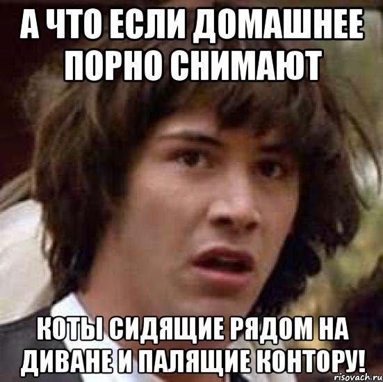 а что если домашнее порно снимают коты сидящие рядом на диване и палящие контору!, Мем А что если (Киану Ривз)