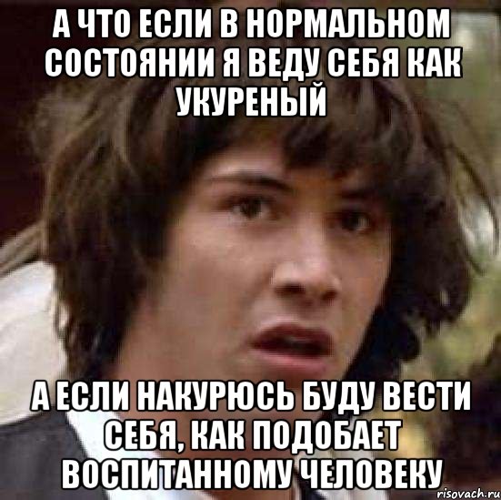 а что если в нормальном состоянии я веду себя как укуреный а если накурюсь буду вести себя, как подобает воспитанному человеку, Мем А что если (Киану Ривз)