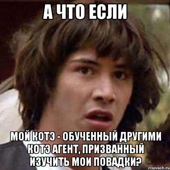 а что если мой котэ - обученный другими котэ агент, призванный изучить мои повадки?, Мем А что если (Киану Ривз)