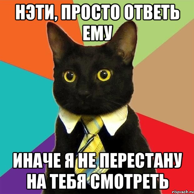 нэти, просто ответь ему иначе я не перестану на тебя смотреть, Мем  Кошечка