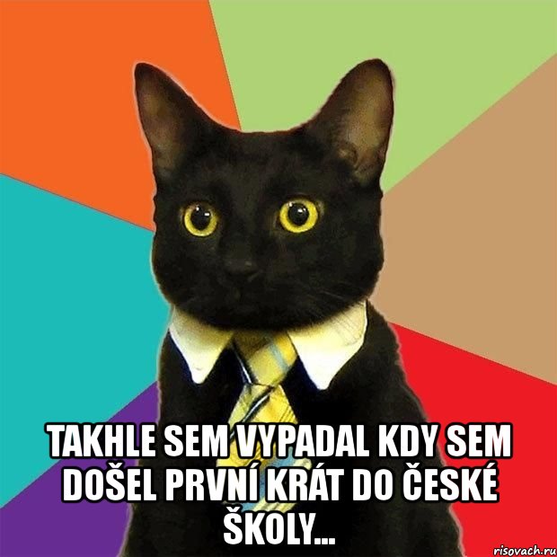  takhle sem vypadal kdy sem došel první krát do české školy..., Мем  Кошечка