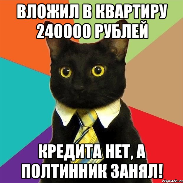 вложил в квартиру 240000 рублей кредита нет, а полтинник занял!, Мем  Кошечка